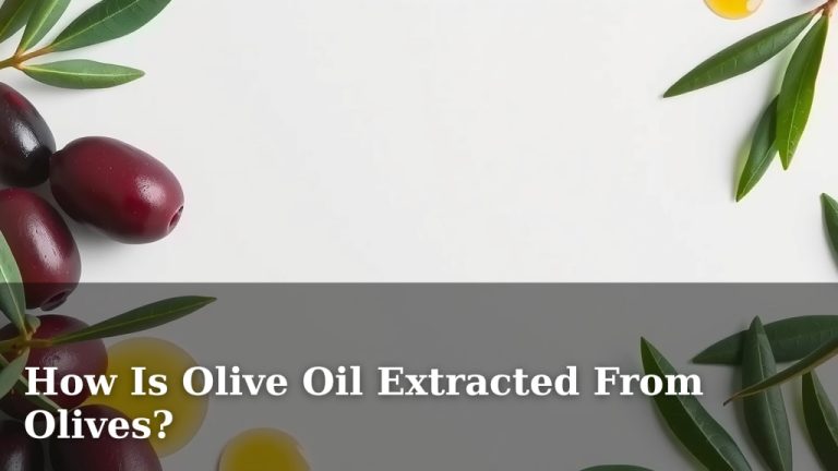 How Is Olive Oil Extracted From Olives?