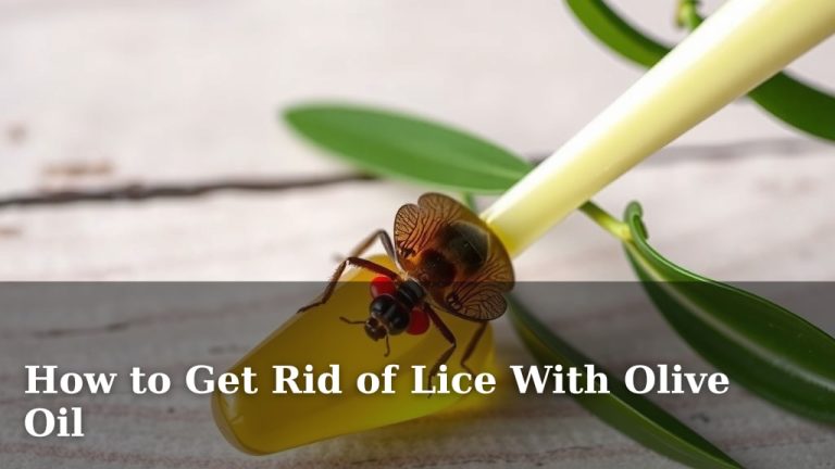 How to Get Rid of Lice With Olive Oil