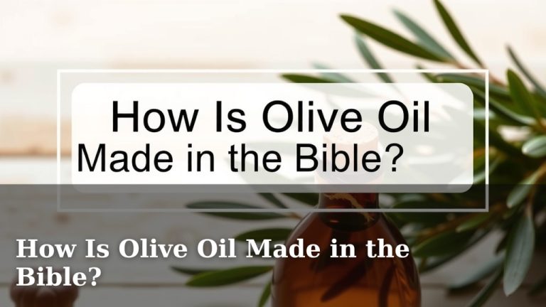 How Is Olive Oil Made in the Bible?